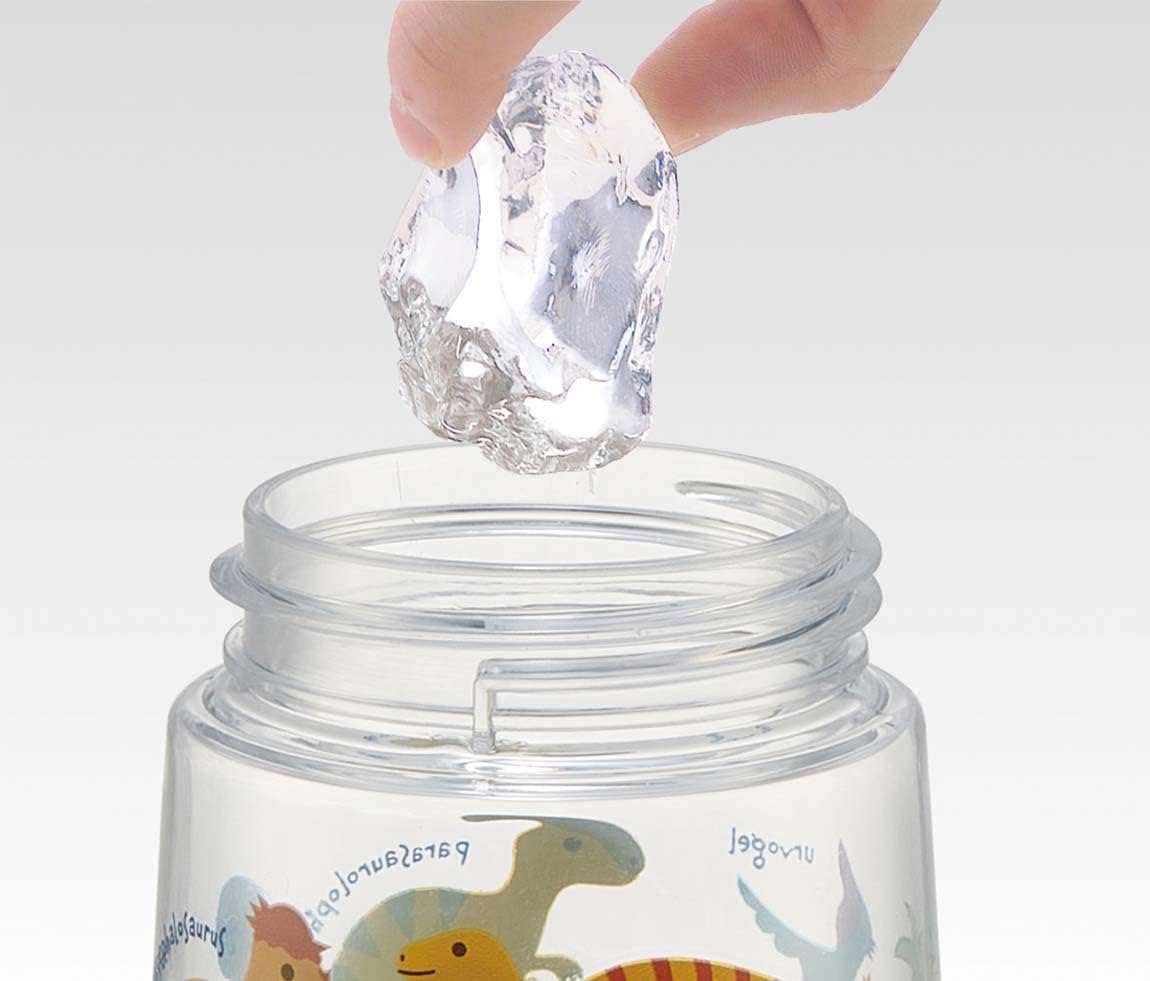 Skater Dinosaur 480ml Clear Kids Water Bottle with Straw for Boys- Japan Figure Store - #1 Bring To You The Best Japanese Goods