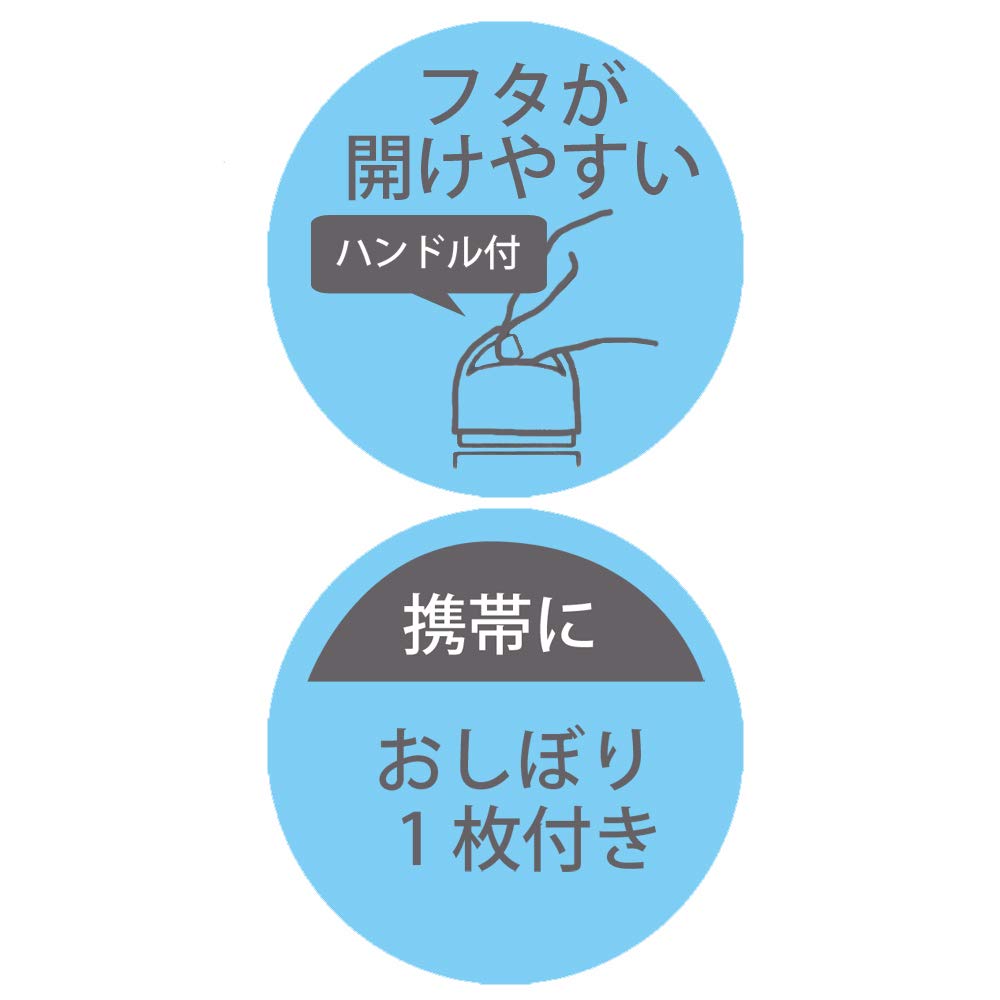 Skater Disney Frozen 21 Wet Towel Set with Case by Skater- Japan Figure Store - #1 Bring To You The Best Japanese Goods