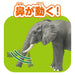 Takara Tomy Ania AL-26 African Elephant Toy for Ages 3+- Japan Figure Store - #1 Bring To You The Best Japanese Goods