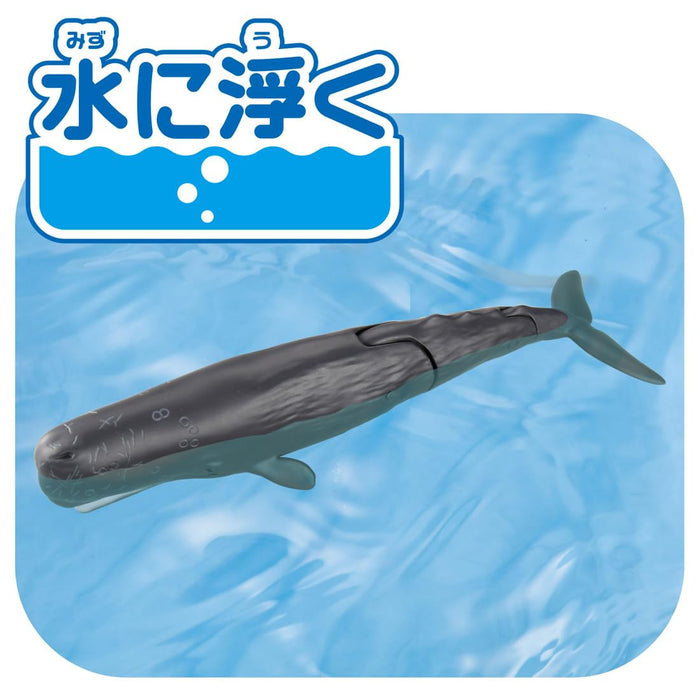 Takara Tomy Ania AL-34 Sperm Whale Floating Toy for Ages 3+