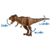 Takara Tomy Ania Jurassic World Final Battle Dinosaur Toy Set Ages 3+- Japan Figure Store - #1 Bring To You The Best Japanese Goods