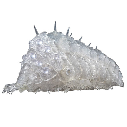 Sentinel Takeya Style Jizai Okimono MP3 Video and Lyrics Download- Japan Figure Store - #1 Bring To You The Best Japanese Goods