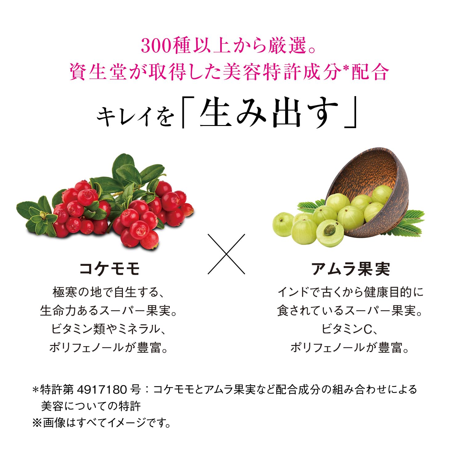 The Collagen Luxe Rich Tablet Supplement 21-Day Supply 126 Tablets- Japan Figure Store - #1 Bring To You The Best Japanese Goods