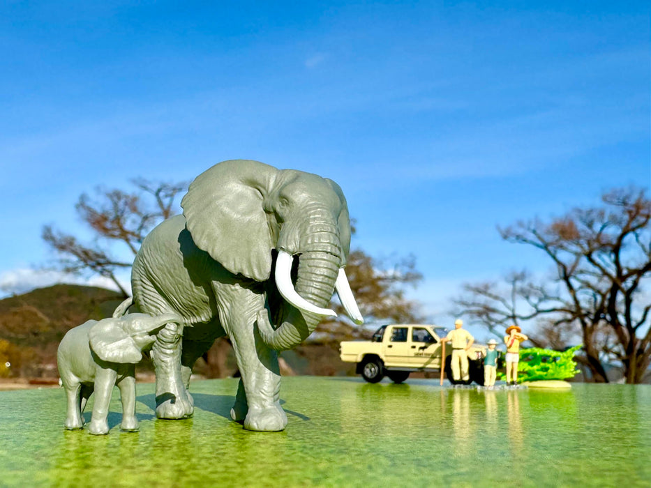 Tomytec Safari 2 Toyota Hilux 4WD Pickup Double Cab Model Set- Japan Figure Store - #1 Bring To You The Best Japanese Goods