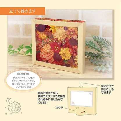 Sanrio Autumn Flower Box Message Cards Paper 15-5 504068
