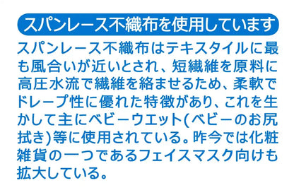 Skater My Melody Three-Ply Non-Woven Mask for Children and Women Pack of 10 Sanrio Mskp3- Japan Figure Store - #1 Bring To You The Best Japanese Goods