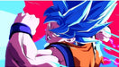 Bandai Namco Entertainment Dragon Ball FighterZ Switch North America Edition