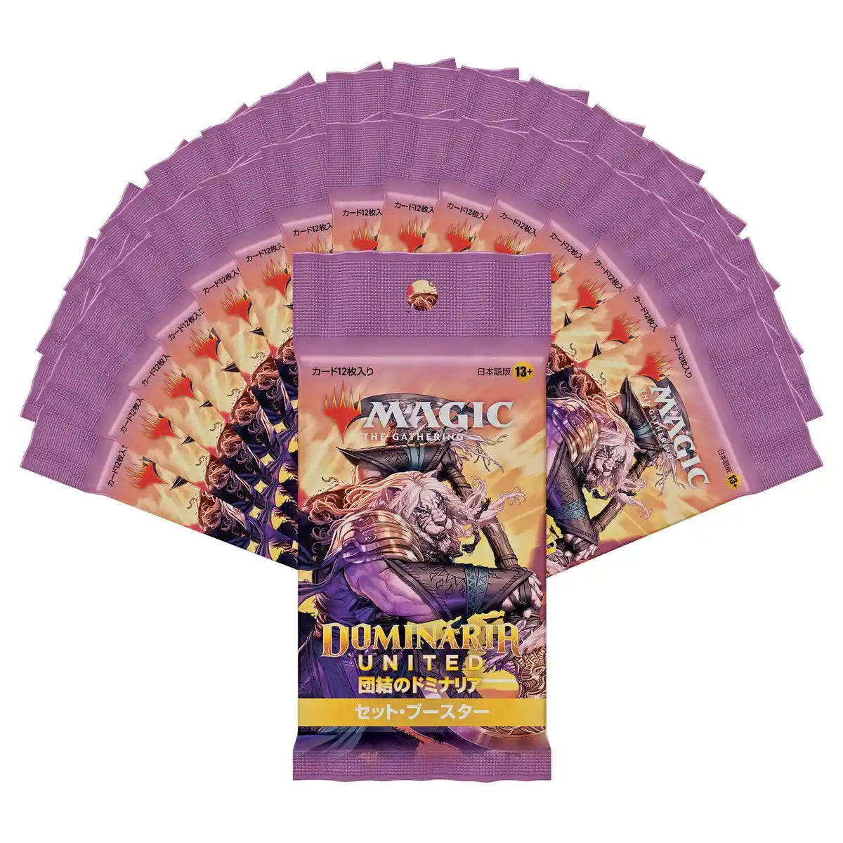 Wizards Magic The Gathering Trading Card Game Japanese Booster Solidarity Set- Japan Figure Store - #1 Bring To You The Best Japanese Goods