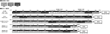 Kato 500 Series 1-571 HO Gauge Sleeper Express Hokutosei Railway Model Passenger Car- Japan Figure Store - #1 Bring To You The Best Japanese Goods