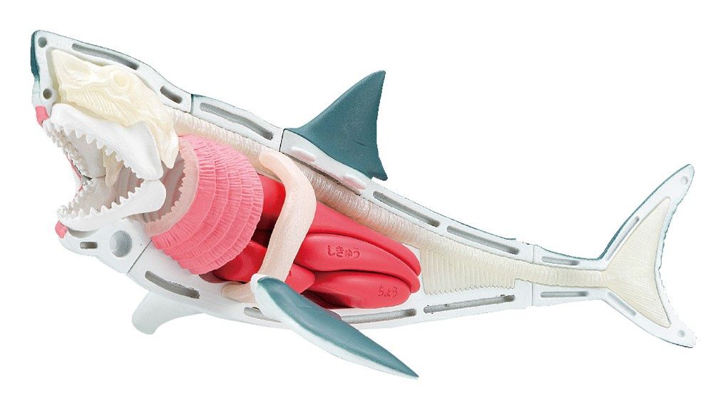 Megahouse Demolition Puzzle Shark 6+- Japan Figure Store - #1 Bring To You The Best Japanese Goods