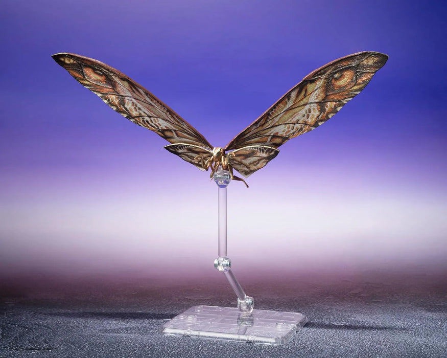 Tamashii Nations Godzilla x Kong New Empire S.H.Monster Figure 2024