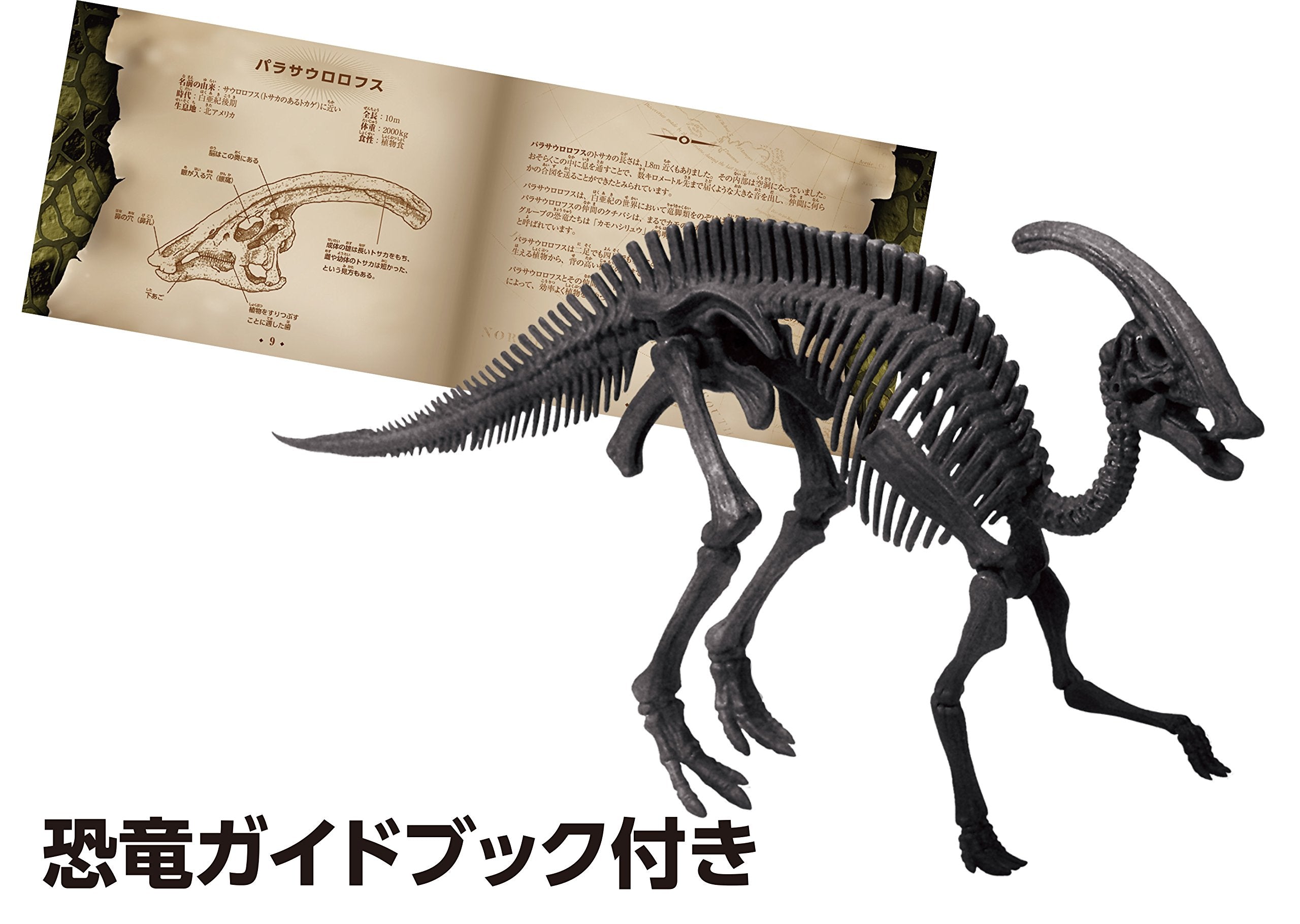 Beverly 3D Puzzle Dn-009 Dinosaur Parasaurolophus (10 Pieces) 3D Dinosaur Puzzle- Japan Figure Store - #1 Bring To You The Best Japanese Goods