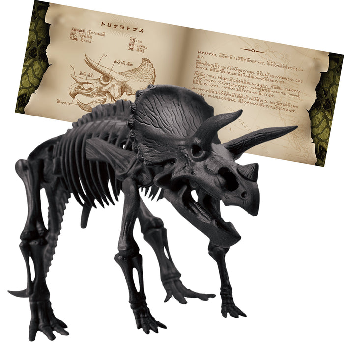 BEVERLY 3D Puzzle Dn-007 Dinosaur Triceratops 10 Pieces- Japan Figure Store - #1 Bring To You The Best Japanese Goods