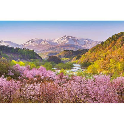 1000pc Appleone Jigsaw Puzzle Haru Akane Gassan & Oyama Sakura 50x75cm- Japan Figure Store - #1 Bring To You The Best Japanese Goods