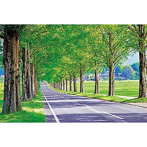 APPLEONE 1000-853 Jigsaw Puzzle Tree-Lined Road 1000 Pieces- Japan Figure Store - #1 Bring To You The Best Japanese Goods