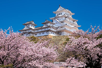 YANOMAN 10-1411 Jigsaw Puzzle 1000 Cherry Blossoms And Himeji Castle In Hyogo Japan 1000 Pieces- Japan Figure Store - #1 Bring To You The Best Japanese Goods