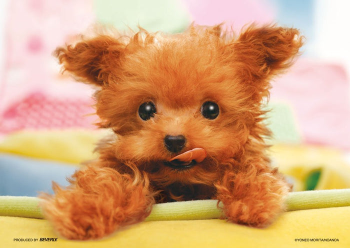 Beverly Jigsaw Puzzle P64-101 Dog I Am hungry (108 Pieces) Cute Pet Puzzles- Japan Figure Store - #1 Bring To You The Best Japanese Goods