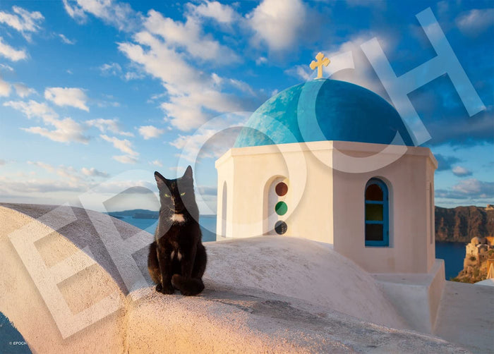 EPOCH 05-205S Jigsaw Puzzle Mysterious Santorini & Black Cat 500 Pieces- Japan Figure Store - #1 Bring To You The Best Japanese Goods
