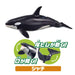 TAKARA TOMY Ania Aa-02 Animal Adventure Aquarium'S Popular Animals Gift Set- Japan Figure Store - #1 Bring To You The Best Japanese Goods