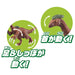 TAKARA TOMY Aa-06 Animal Adventure Decisive Battle ! Dinosaur Great Scuffle Set Figure- Japan Figure Store - #1 Bring To You The Best Japanese Goods
