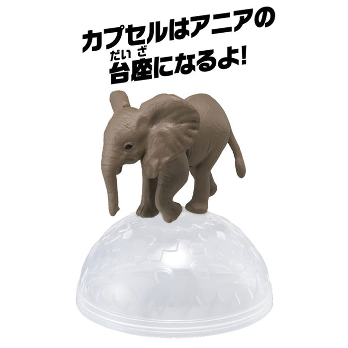 TAKARA TOMY Ania Ac-02 Baby Elephant- Japan Figure Store - #1 Bring To You The Best Japanese Goods