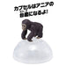 TAKARA TOMY Ania Ac-03 Baby Gorilla- Japan Figure Store - #1 Bring To You The Best Japanese Goods