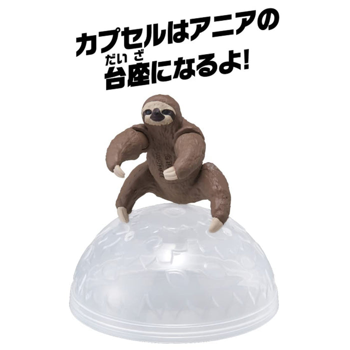 TAKARA TOMY Ania Ac-06 Baby Sloth- Japan Figure Store - #1 Bring To You The Best Japanese Goods
