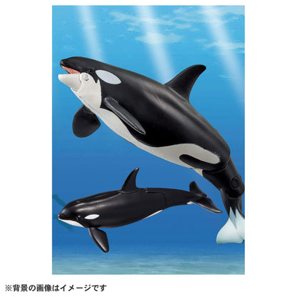 TAKARA TOMY Al-08 Animal Adventure Killer Whale Parent And Child Floating Version Figure- Japan Figure Store - #1 Bring To You The Best Japanese Goods