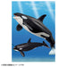 TAKARA TOMY Al-08 Animal Adventure Killer Whale Parent And Child Floating Version Figure- Japan Figure Store - #1 Bring To You The Best Japanese Goods