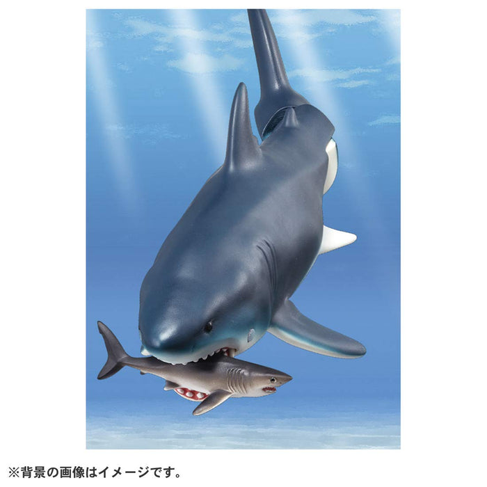 TAKARA TOMY Al-11 Animal Adventure Megalodon Floating Version Figure- Japan Figure Store - #1 Bring To You The Best Japanese Goods