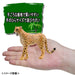 TAKARA TOMY As-13 Animal Adventure Cheetah Figure- Japan Figure Store - #1 Bring To You The Best Japanese Goods