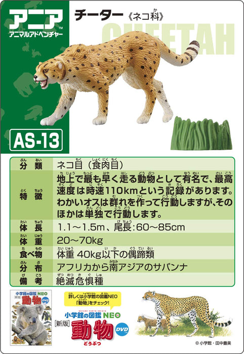 TAKARA TOMY As-13 Animal Adventure Cheetah Wild Version Figure- Japan Figure Store - #1 Bring To You The Best Japanese Goods