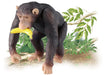 TAKARA TOMY As-14 Animal Adventure Chimpanzee Figure- Japan Figure Store - #1 Bring To You The Best Japanese Goods