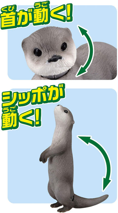 TAKARA TOMY Ania As-15 Animal Adventure Eurasian Otter Floating Version- Japan Figure Store - #1 Bring To You The Best Japanese Goods