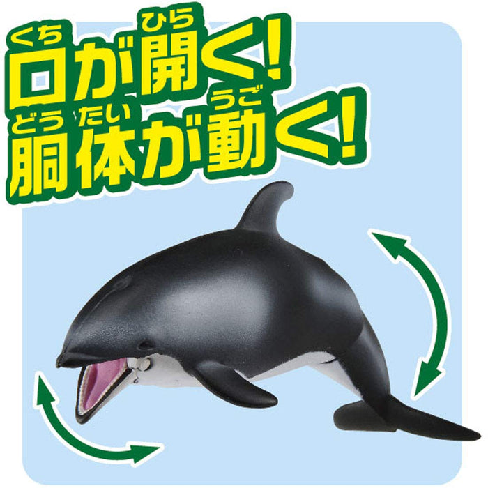 TAKARA TOMY Ania As-19 Animal Adventure White-Sided Dolphin Floating Version- Japan Figure Store - #1 Bring To You The Best Japanese Goods