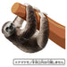 TAKARA TOMY Ania As-26 Sloth Brown-Throated Sloth- Japan Figure Store - #1 Bring To You The Best Japanese Goods