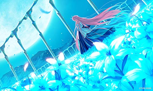 Aniplex Tsukihime A Piece Of Blue Glass Moon For Sony Playstation Ps4 - New Japan Figure 4534530130501 1