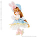 Azone Intl Red Camera Sugarcups Bisquetina Bunny 1/12 Doll- Japan Figure Store - #1 Bring To You The Best Japanese Goods