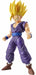 Bandai Figure-rise Standard Super Saiyan 2 Gon Gohan Model Kit Dragon Ball