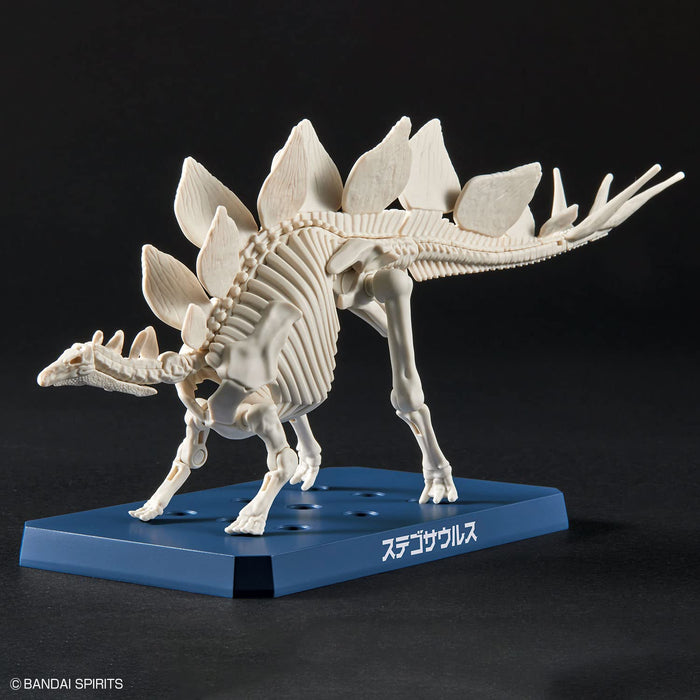 Bandai Spirits Planosaurus Stegosaurus Model- Japan Figure Store - #1 Bring To You The Best Japanese Goods