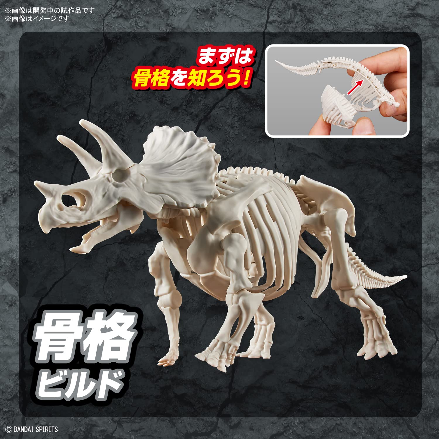 Bandai Spirits Planosaurus Tric. Color-Coded Plastic Model- Japan Figure Store - #1 Bring To You The Best Japanese Goods