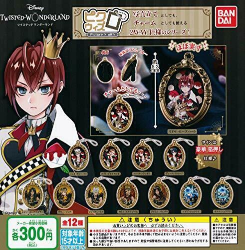 Bandai Tsuisute Pikuwizu All 12 Type Set Gashapon Toys Miniature Figure - Japan Figure