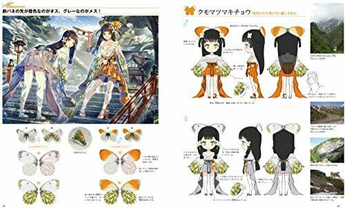 Beauty Butterfly Picture Book Art Book- Japan Figure Store - #1 Bring To You The Best Japanese Goods