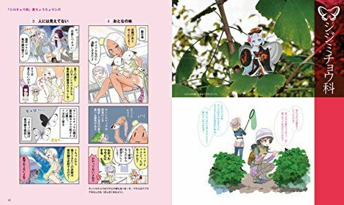 Beauty Butterfly Picture Book Art Book- Japan Figure Store - #1 Bring To You The Best Japanese Goods