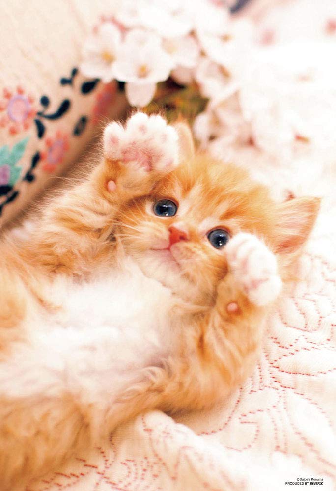 BEVERLY Jigsaw Puzzle Rock Paper Scissors Kitten Cat 150 L-Pieces- Japan Figure Store - #1 Bring To You The Best Japanese Goods