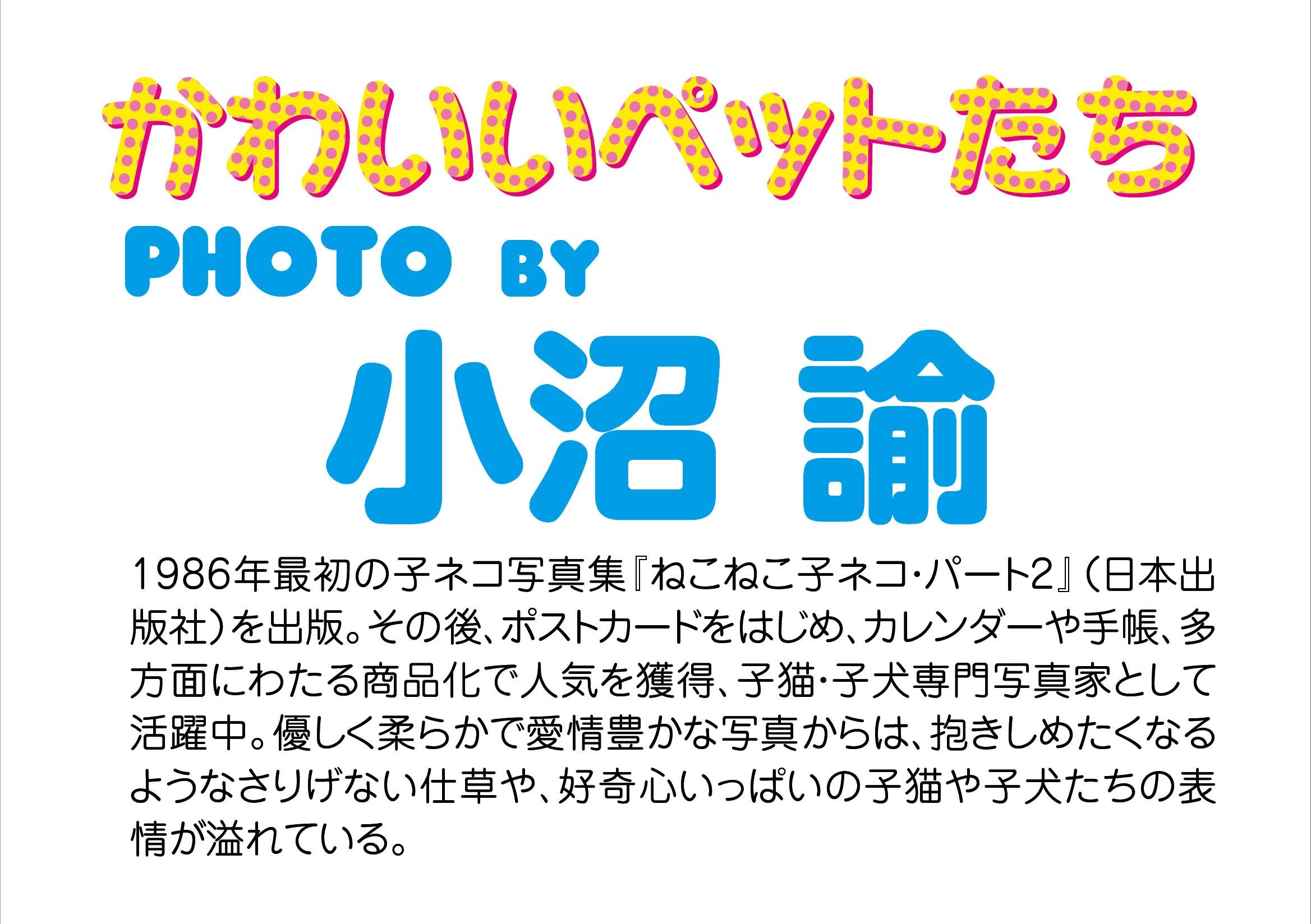 BEVERLY Jigsaw Puzzle Rock Paper Scissors Kitten Cat 150 L-Pieces- Japan Figure Store - #1 Bring To You The Best Japanese Goods