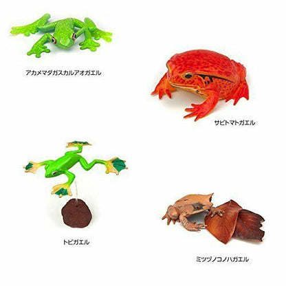 Colorata Real Figure Box The Plactical Guide Of Frogs- Japan Figure Store - #1 Bring To You The Best Japanese Goods