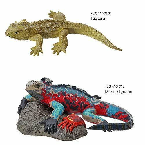 Colorata Real Figure Endangered Species Reptiles Box- Japan Figure Store - #1 Bring To You The Best Japanese Goods