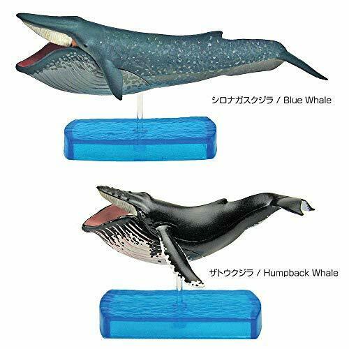 Colorata Real Figure Marine Mammals Deluxe Box- Japan Figure Store - #1 Bring To You The Best Japanese Goods