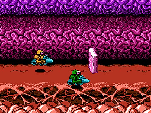 Columbus Circle Battletoads For Famicom Fc - Pre Order Japan Figure 4582286323593 5